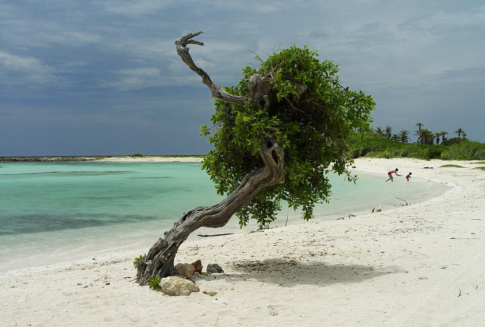 Baby Beach, Aruba